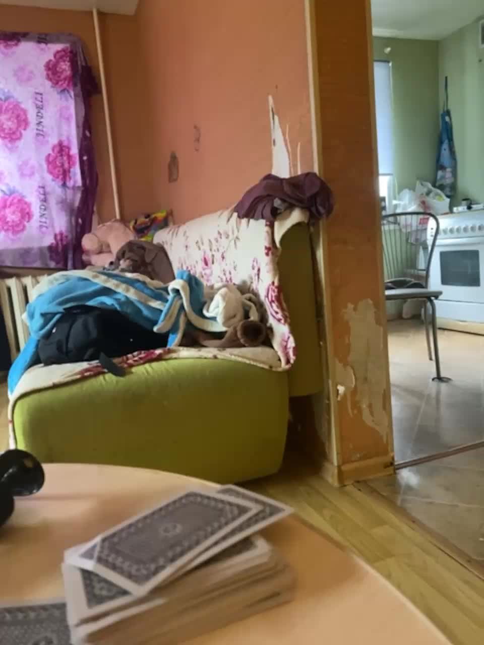 View or download file zhozhoba69 on 2023-10-19 from bongacams