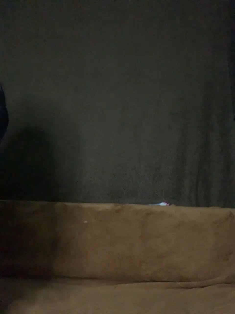 View or download file 1hott1 on 2023-10-20 from bongacams