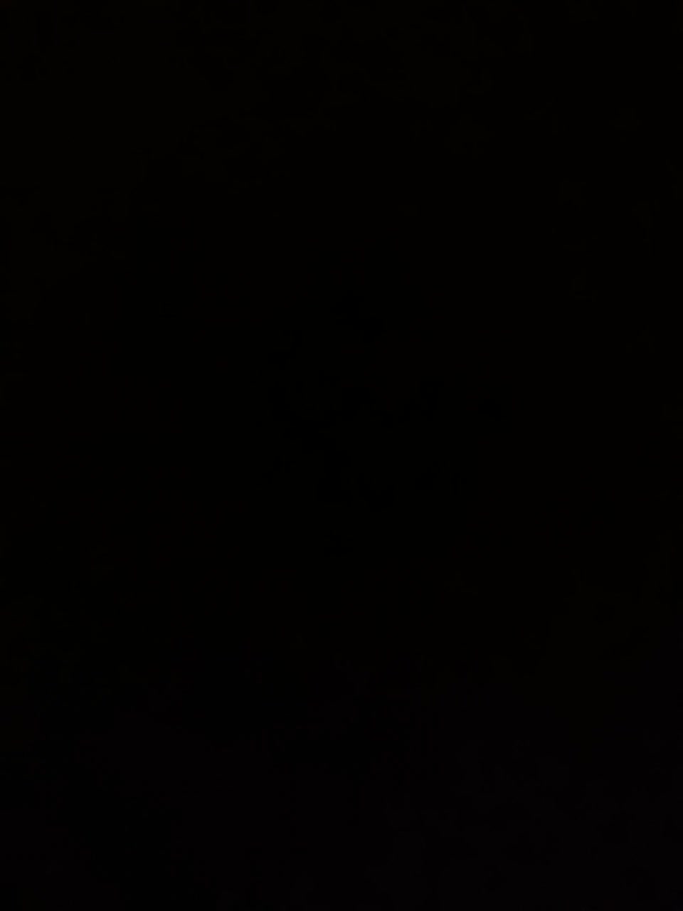 View or download file kaprizznaya_miss on 2023-10-24 from bongacams