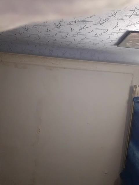 View or download file vladosnastya on 2023-10-26 from bongacams