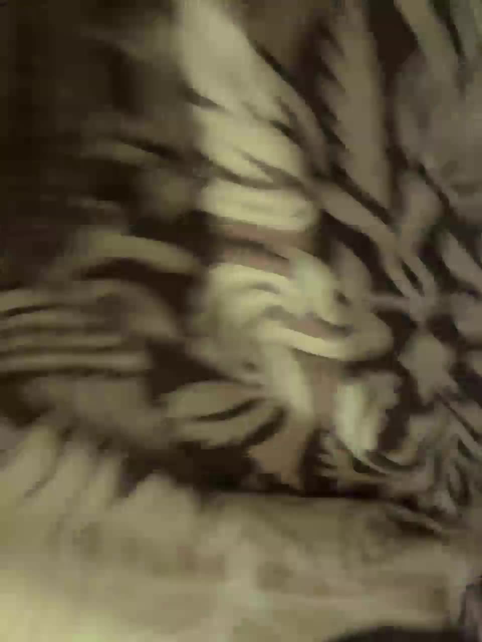 View or download file paramau on 2023-10-28 from bongacams