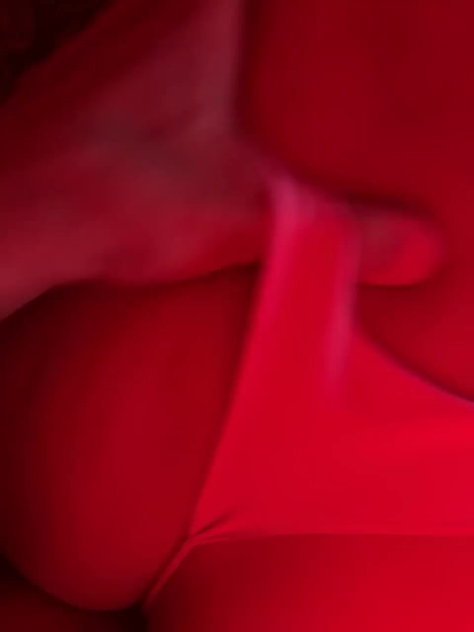 View or download file hit_hub on 2023-10-30 from bongacams