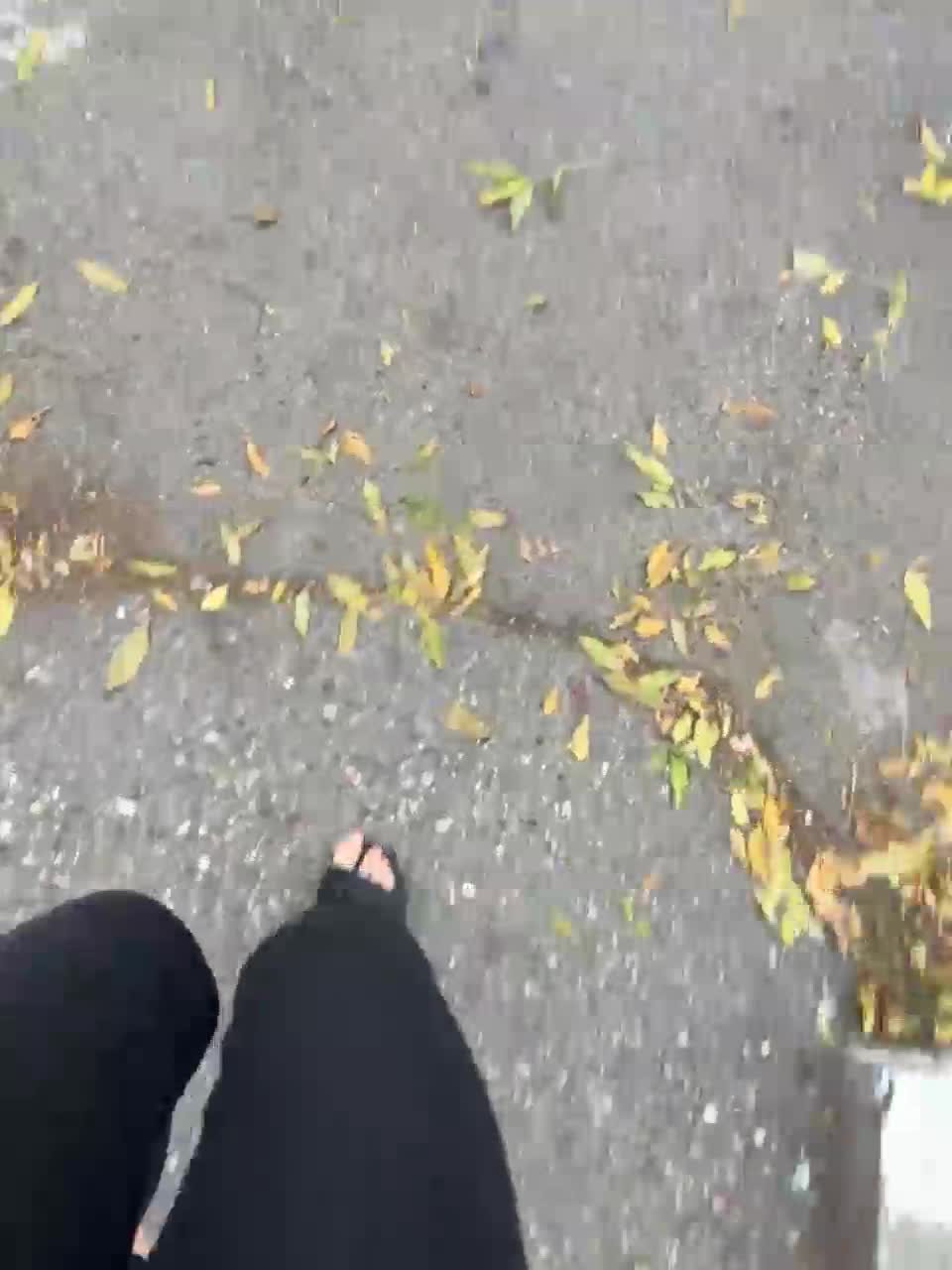 View or download file sinfultyan on 2023-11-05 from bongacams