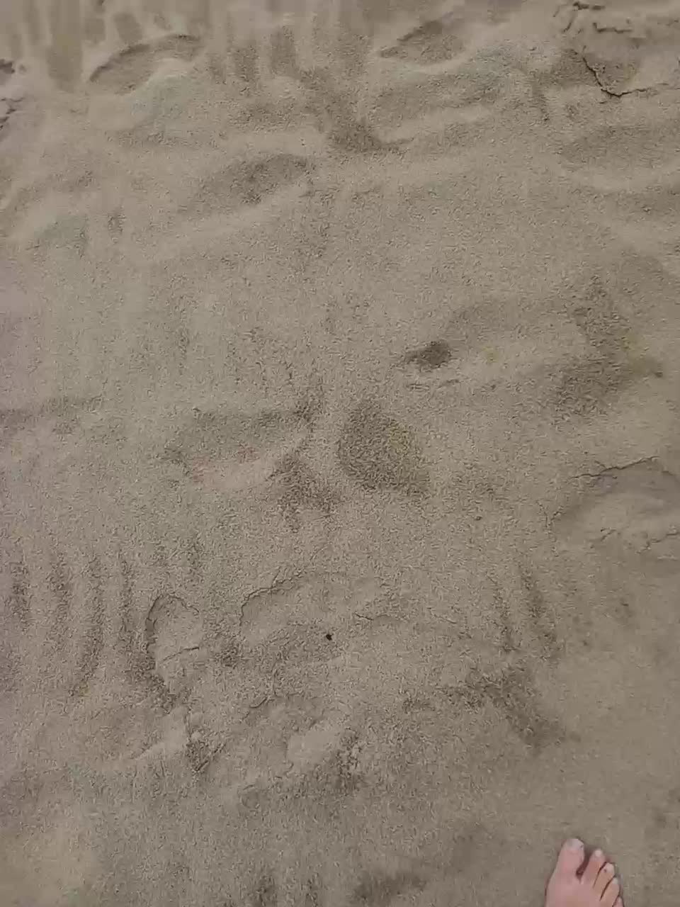 View or download file misslmrj on 2023-11-08 from bongacams