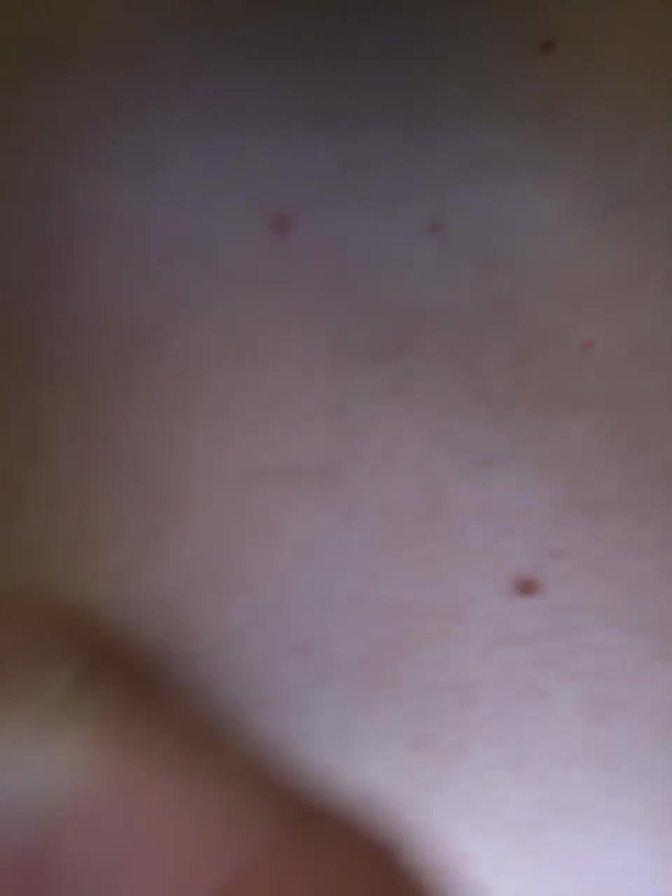 View or download file bumlecrazzzy on 2023-11-10 from bongacams