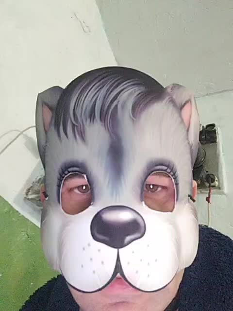 View or download file zaharsu on 2023-11-12 from bongacams