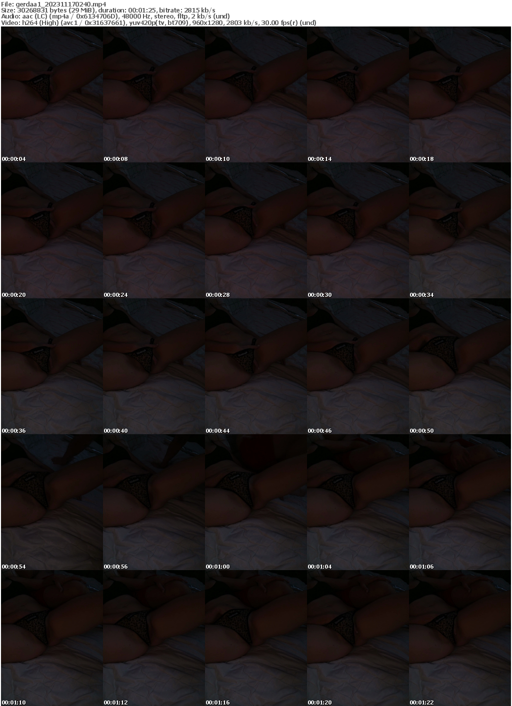 Preview thumb from gerdaa1 on 2023-11-17 @ bongacams