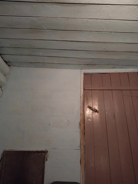 View or download file mussypussy222 on 2023-12-17 from bongacams