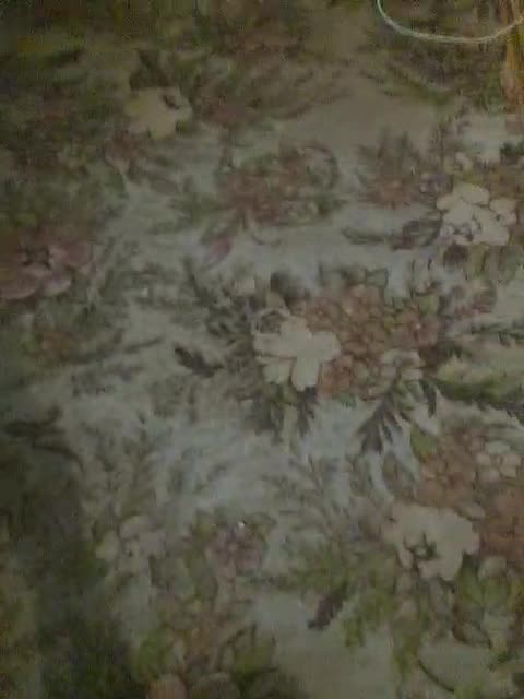 View or download file markissxxx on 2023-12-23 from bongacams