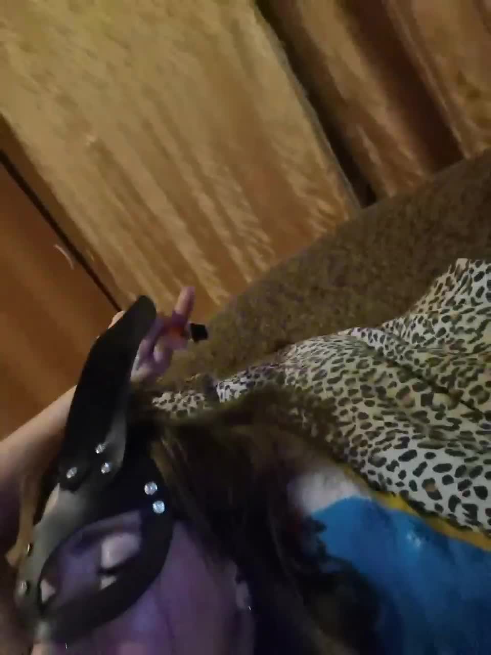 View or download file johnnyandkylie on 2023-12-24 from bongacams