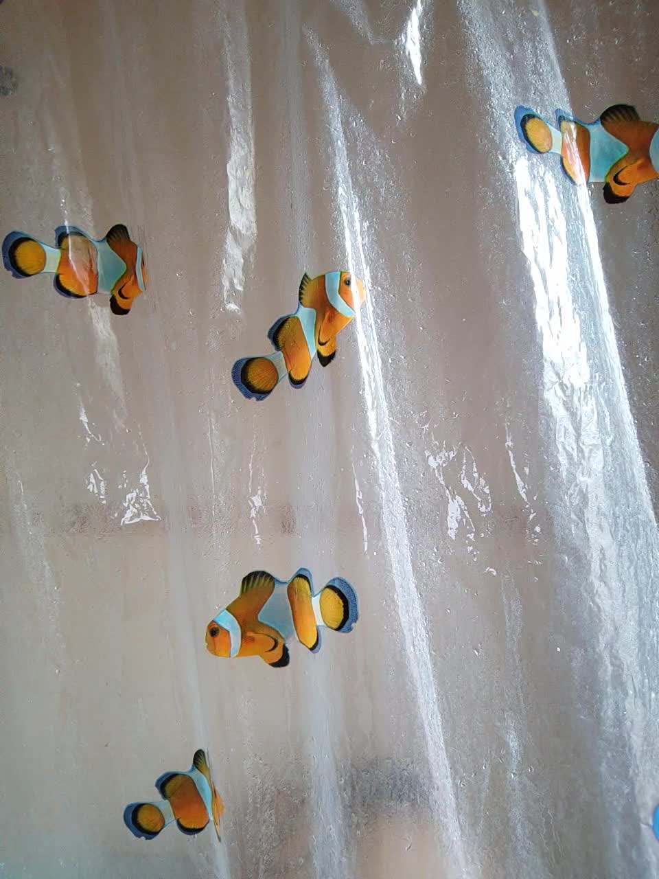 View or download file terrirose on 2023-12-25 from bongacams