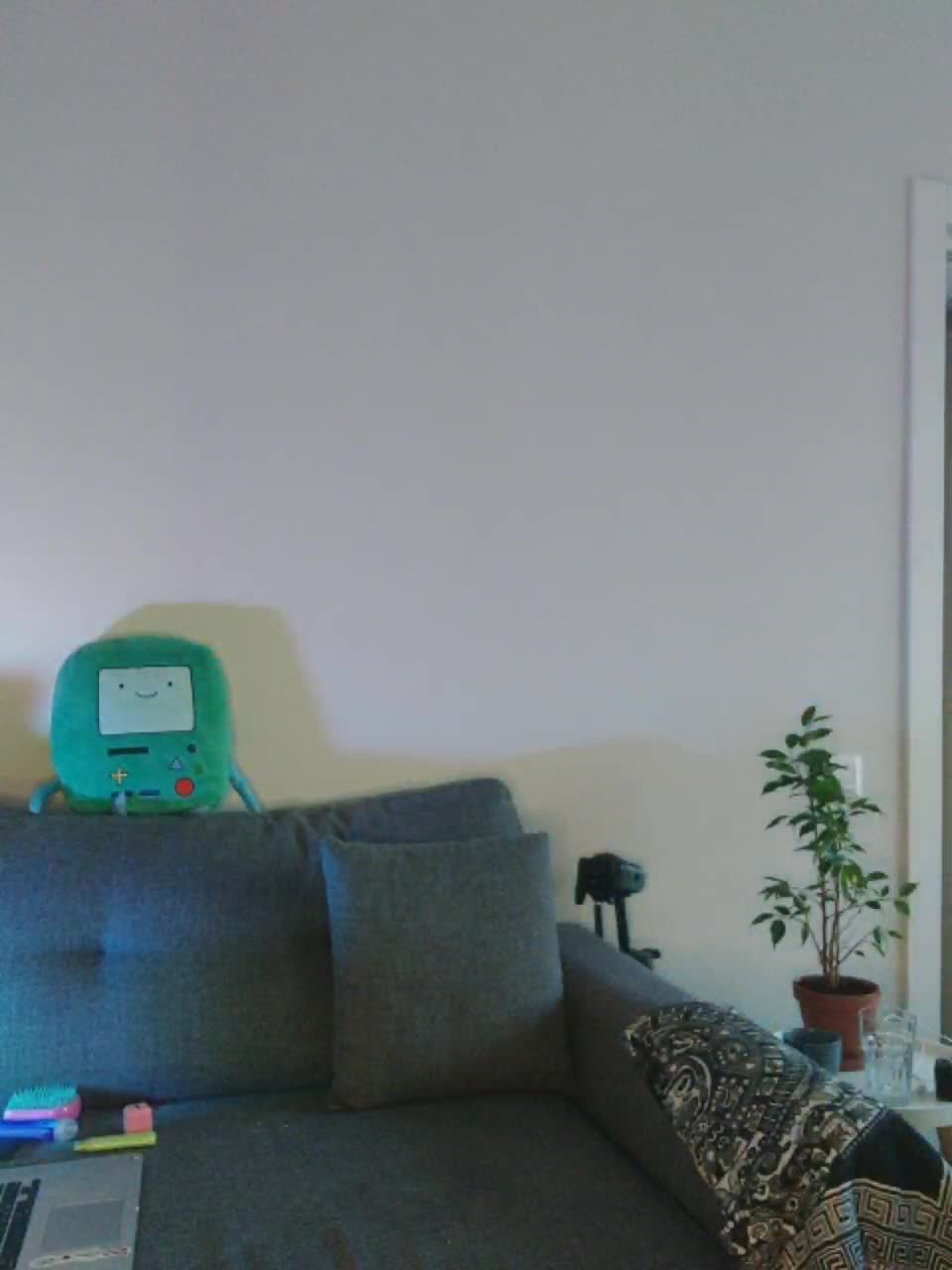 View or download file catsby on 2023-12-31 from bongacams