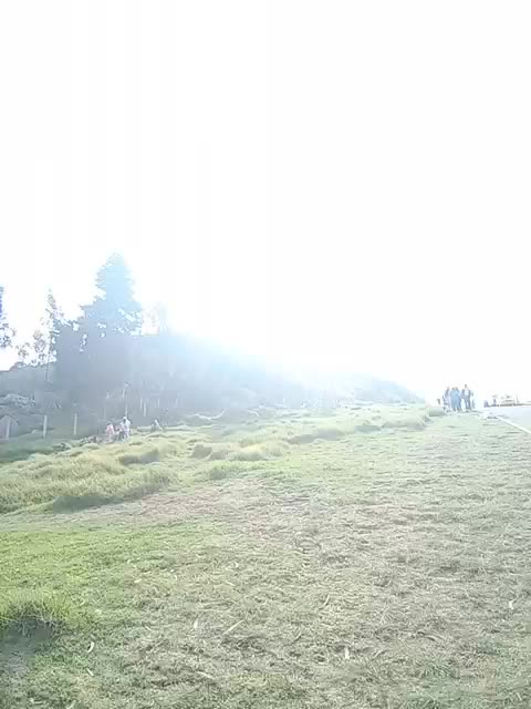 View or download file biancaydanny on 2024-01-01 from bongacams