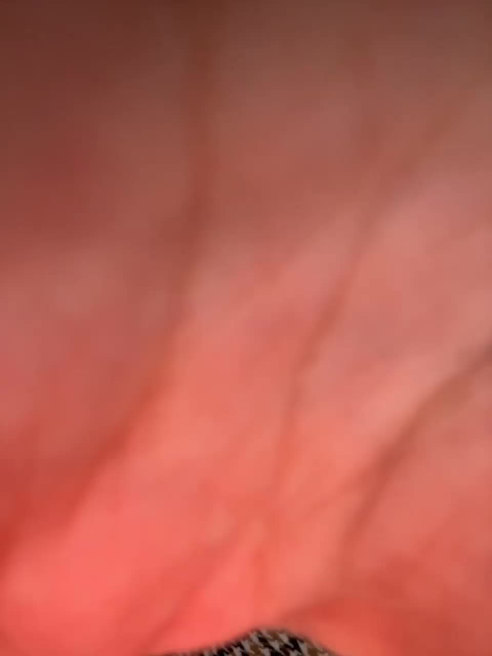 View or download file olka008 on 2024-01-01 from bongacams