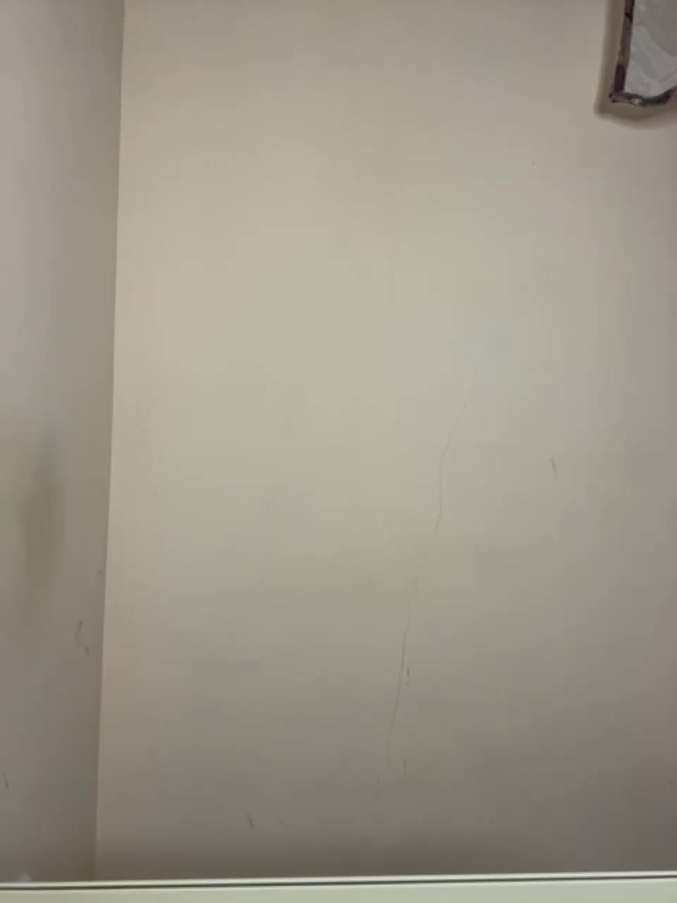 View or download file princesslove on 2024-01-01 from bongacams