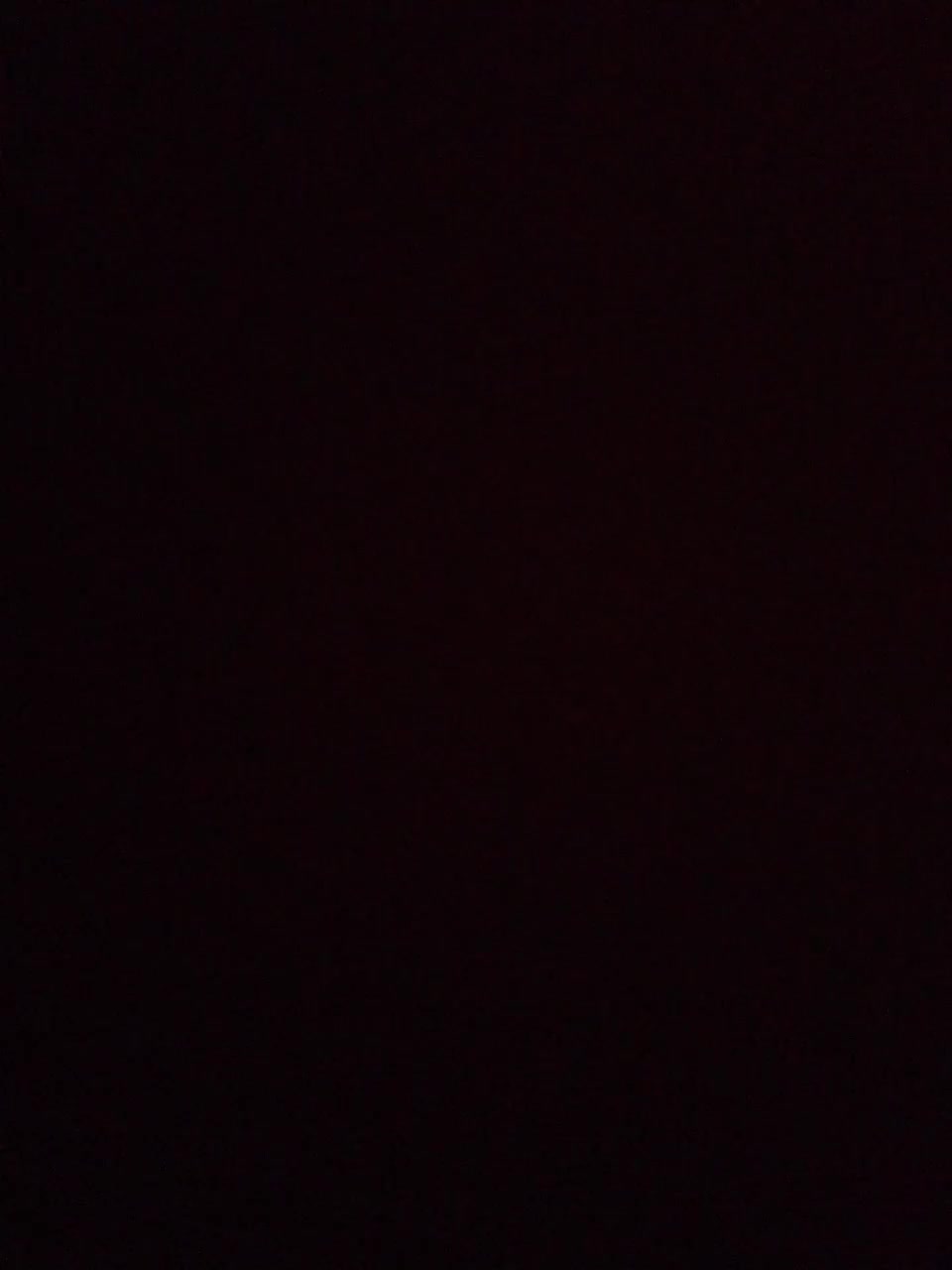 View or download file tandemdan on 2024-01-01 from bongacams