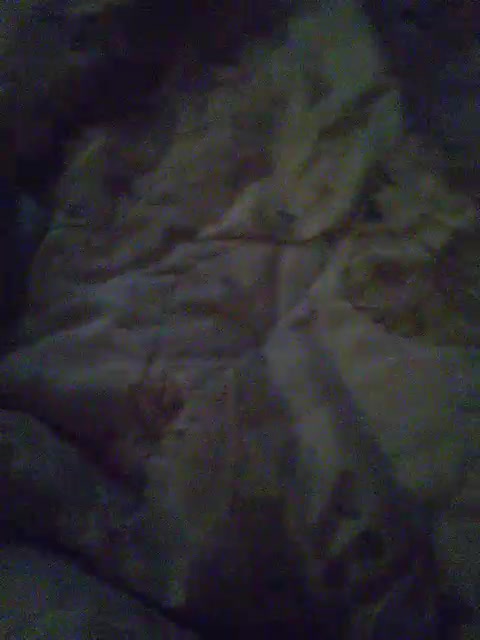 View or download file ruslan9610 on 2024-01-04 from bongacams