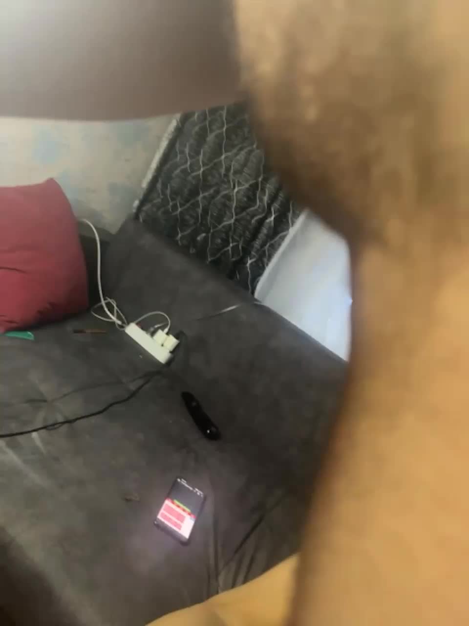 View or download file xxxklsdf on 2024-01-05 from bongacams