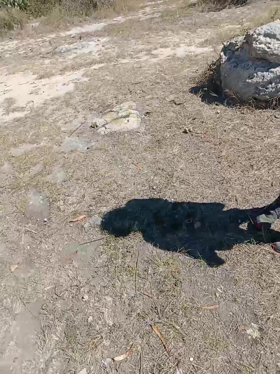 View or download file biancaydanny on 2024-01-07 from bongacams