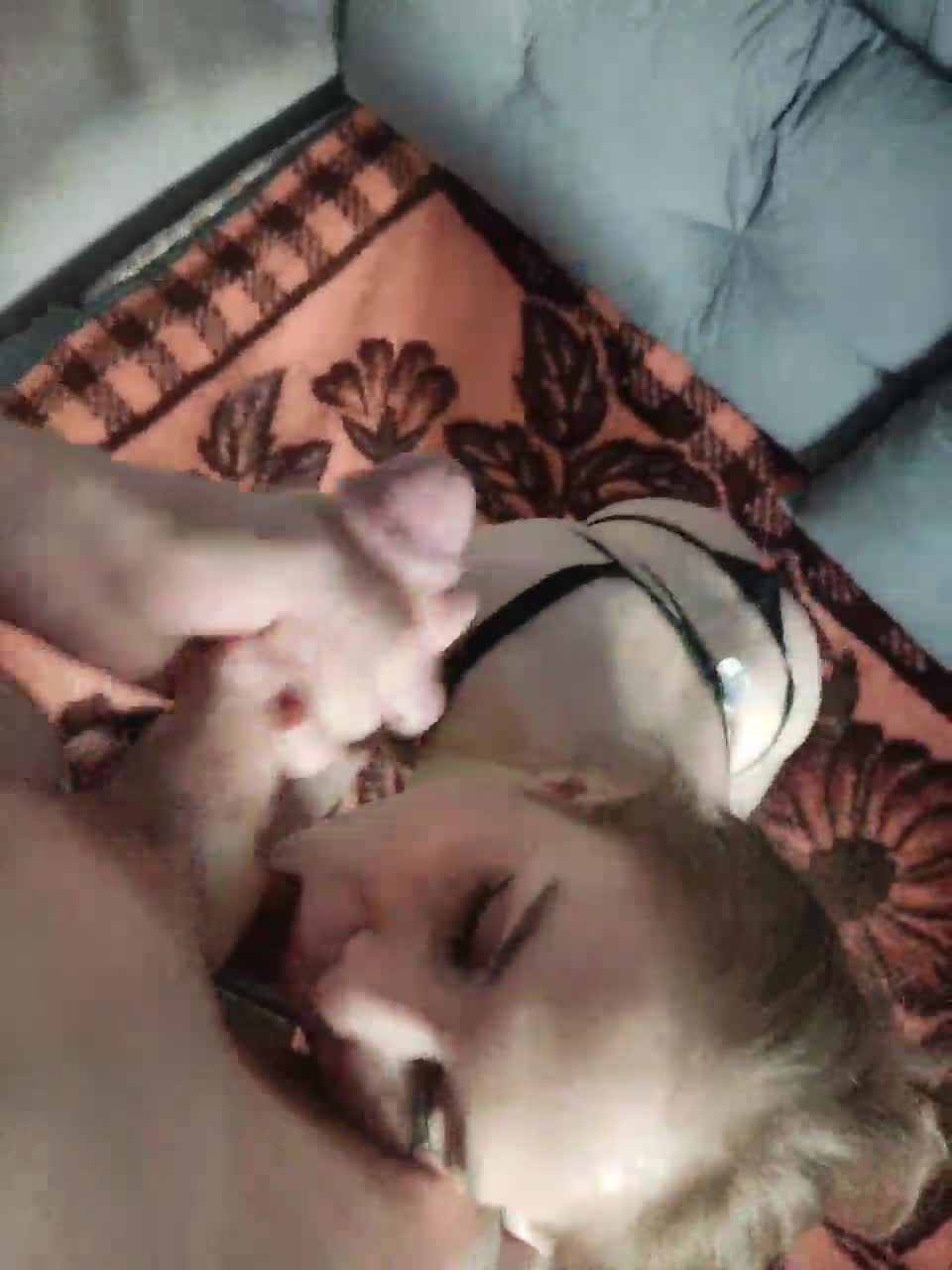 View or download file lava_angel on 2024-01-12 from bongacams