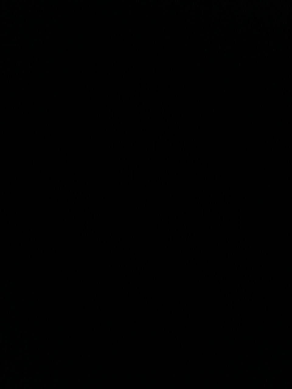 View or download file purpur33 on 2024-01-14 from bongacams