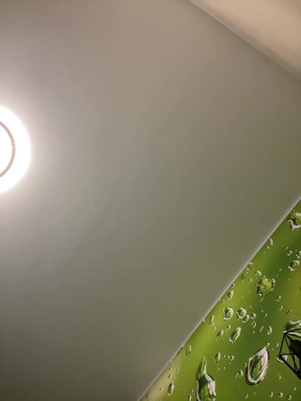 View or download file homely on 2024-01-15 from bongacams