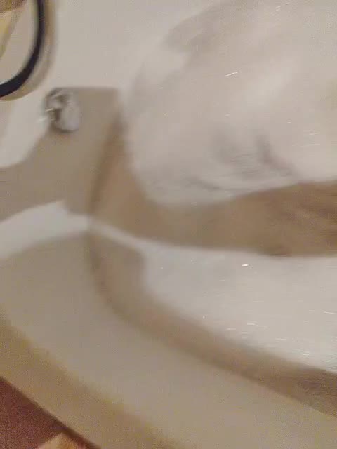 View or download file lisi4ka_lis on 2024-09-20 from bongacams