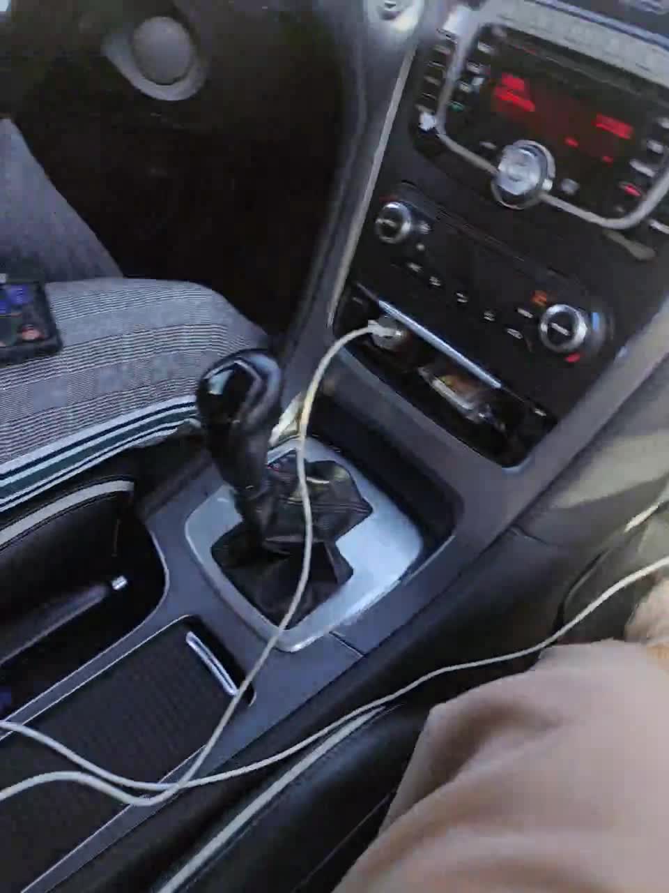 View or download file 8alexandra8 on 2024-09-21 from bongacams