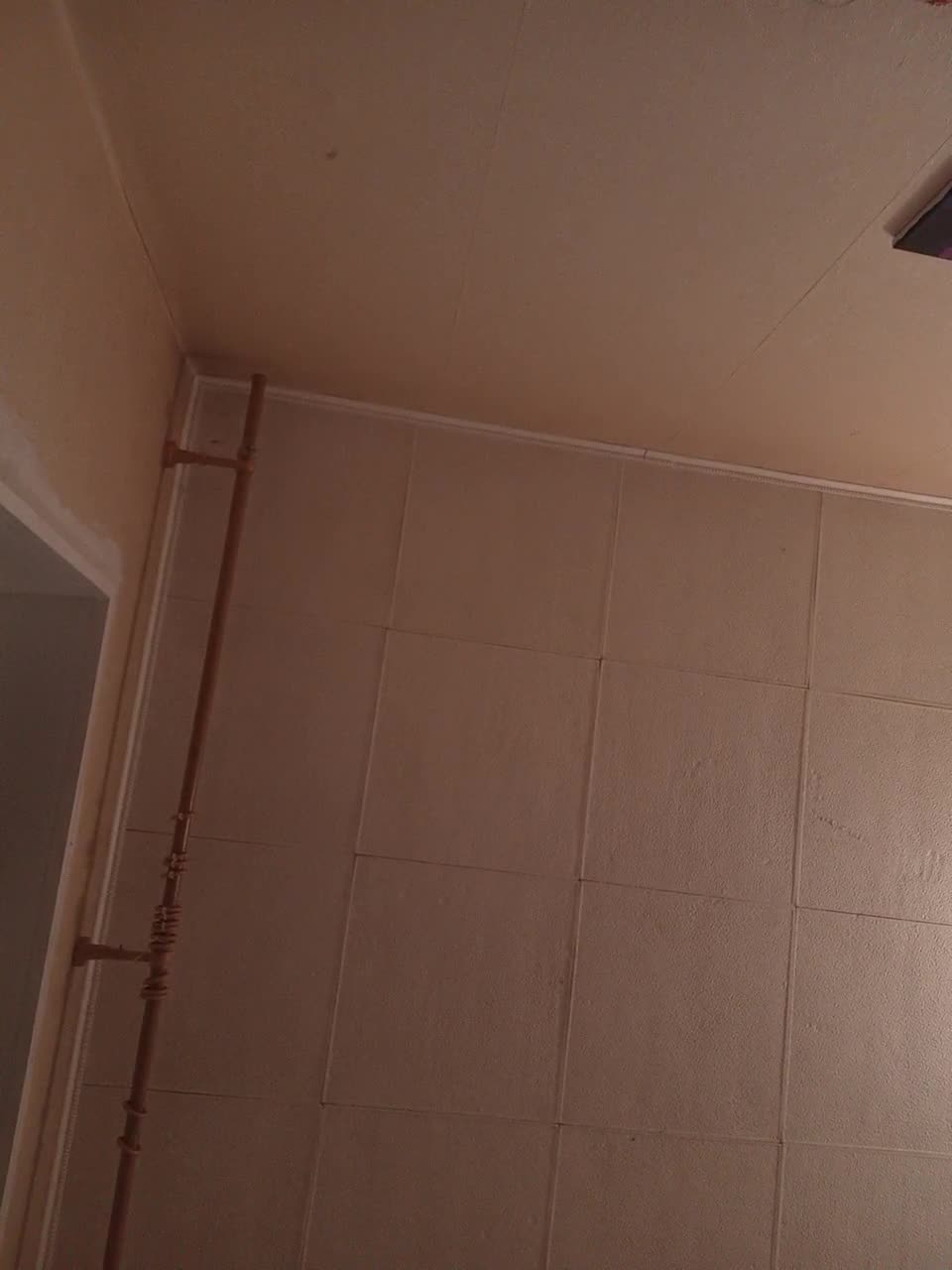 View or download file emolina on 2024-09-22 from bongacams