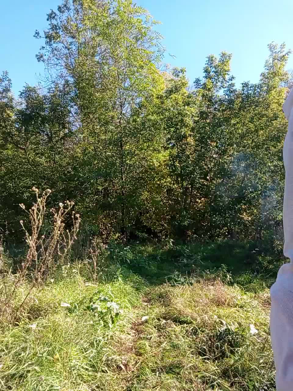 View or download file _pypsiki_ on 2024-09-25 from bongacams