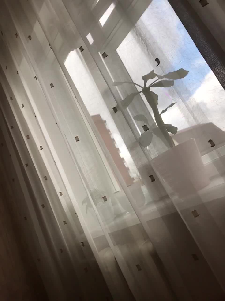 View or download file lika_lika1 on 2024-09-26 from bongacams