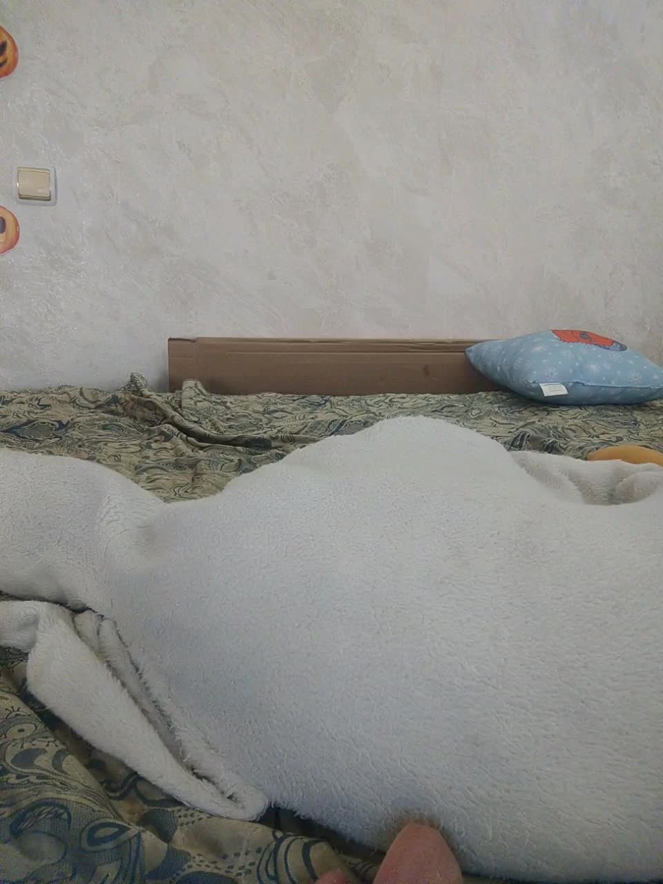 View or download file littledelora on 2024-09-29 from bongacams