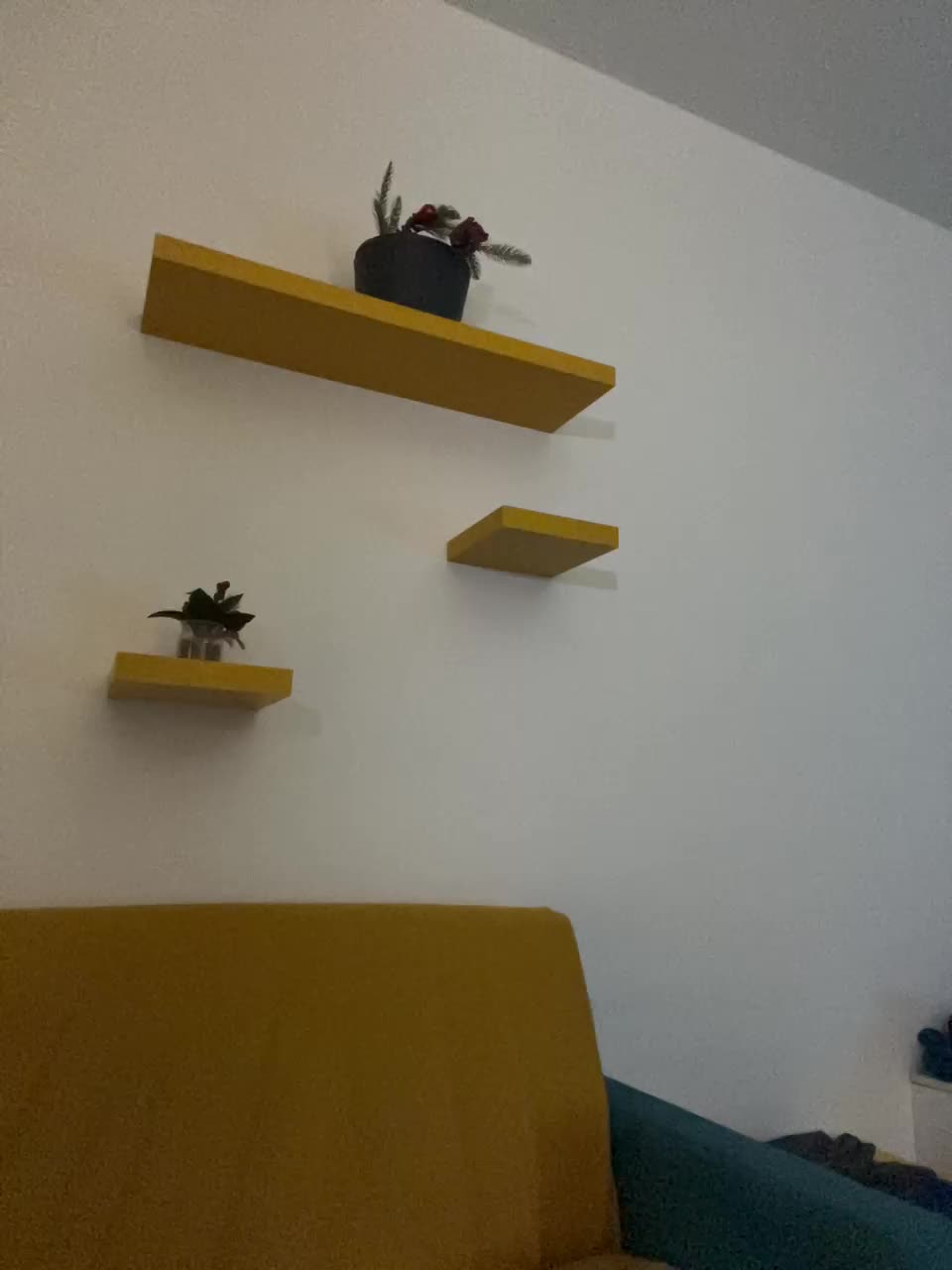 View or download file golden_cobra100 on 2024-09-30 from bongacams