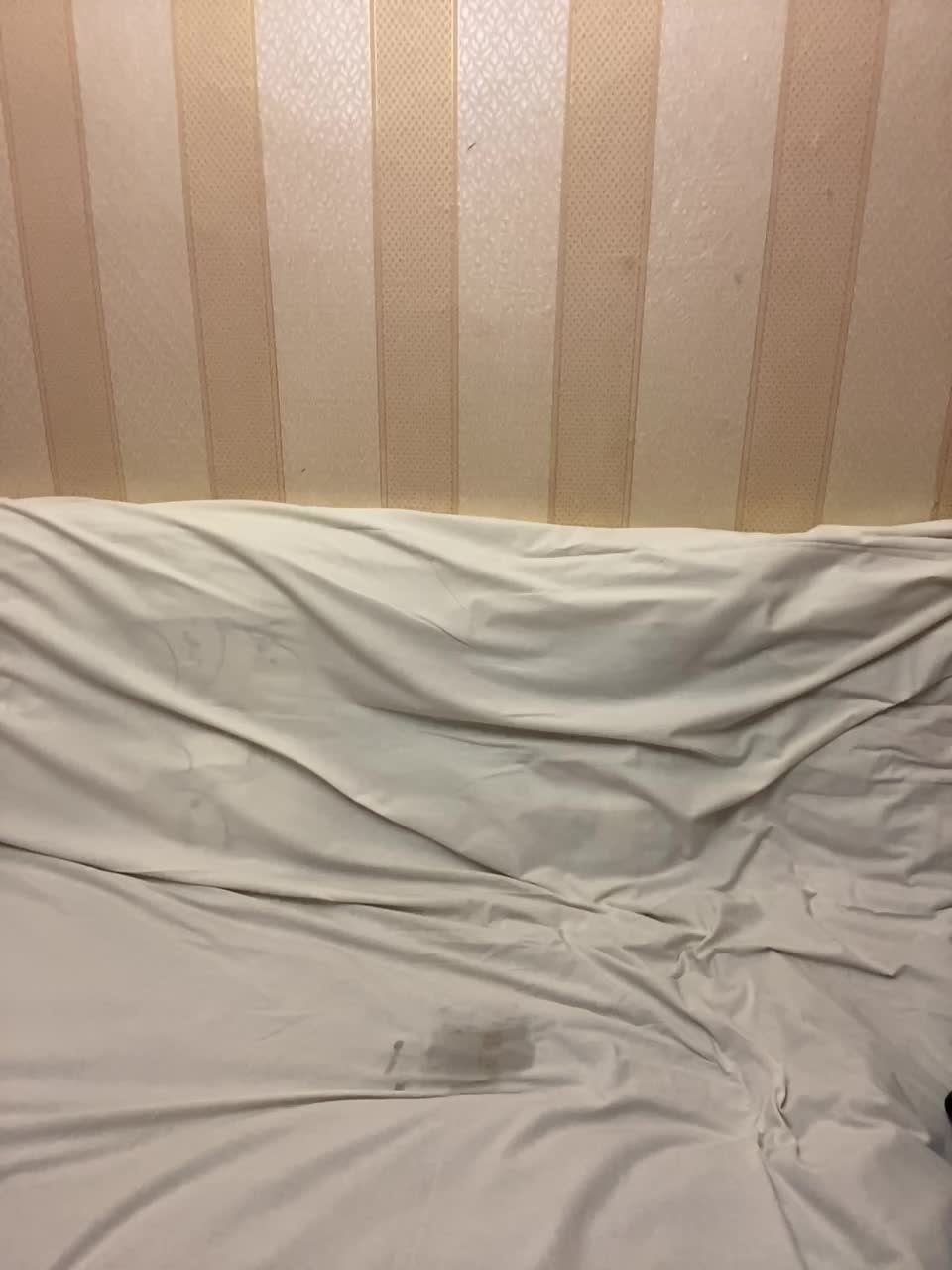 View or download file russiabrazers on 2024-09-30 from bongacams