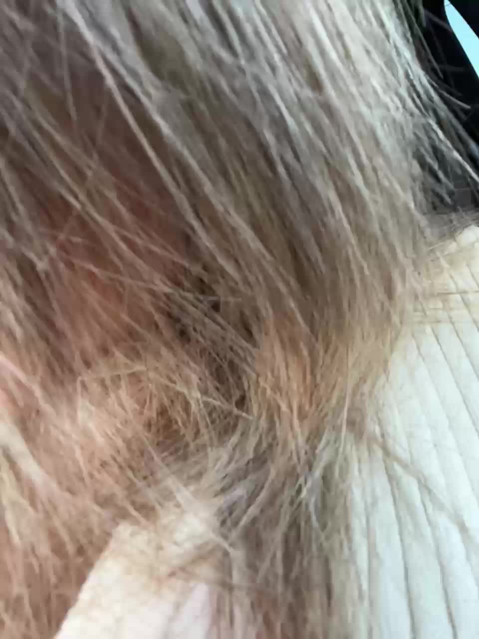 View or download file yuliyalasker on 2024-10-04 from bongacams