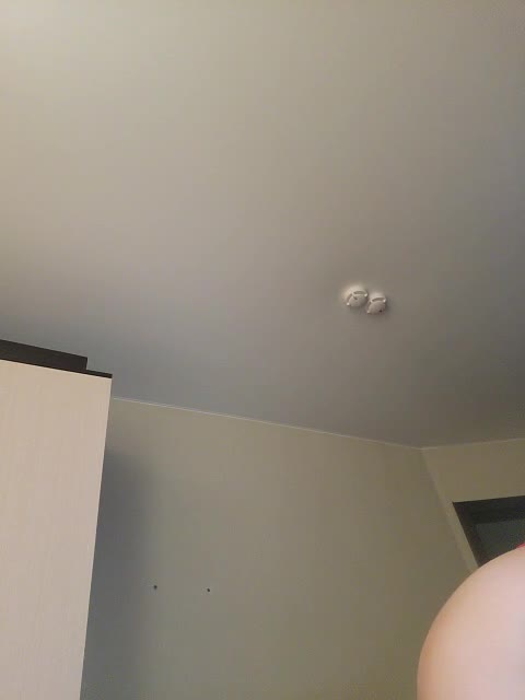 View or download file divochka on 2024-10-05 from bongacams