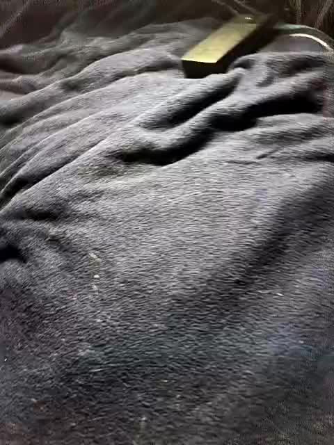 View or download file persikapelsinka on 2024-10-05 from bongacams