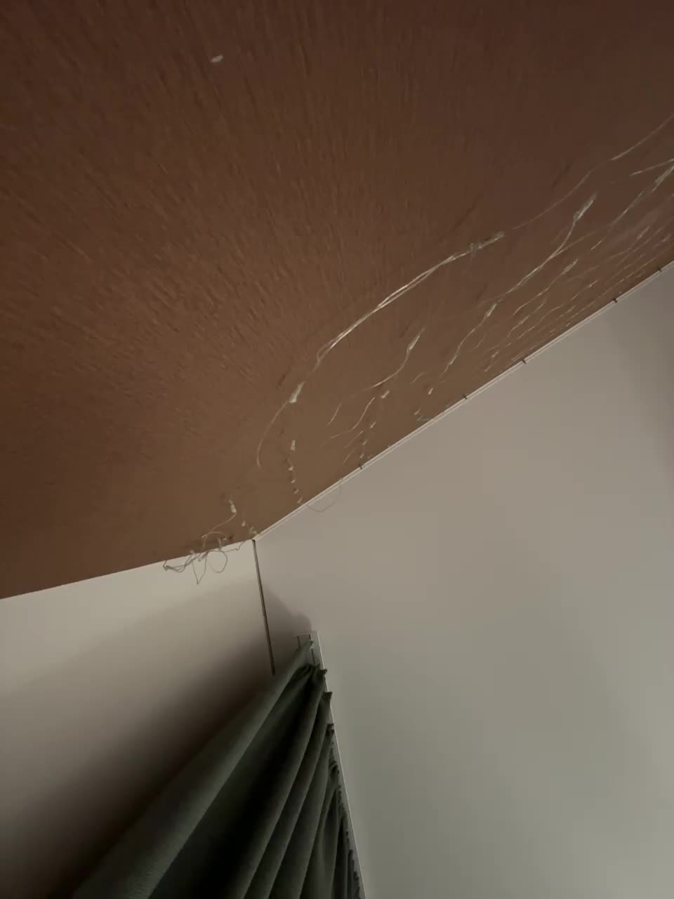 View or download file vagnermur on 2024-10-05 from bongacams