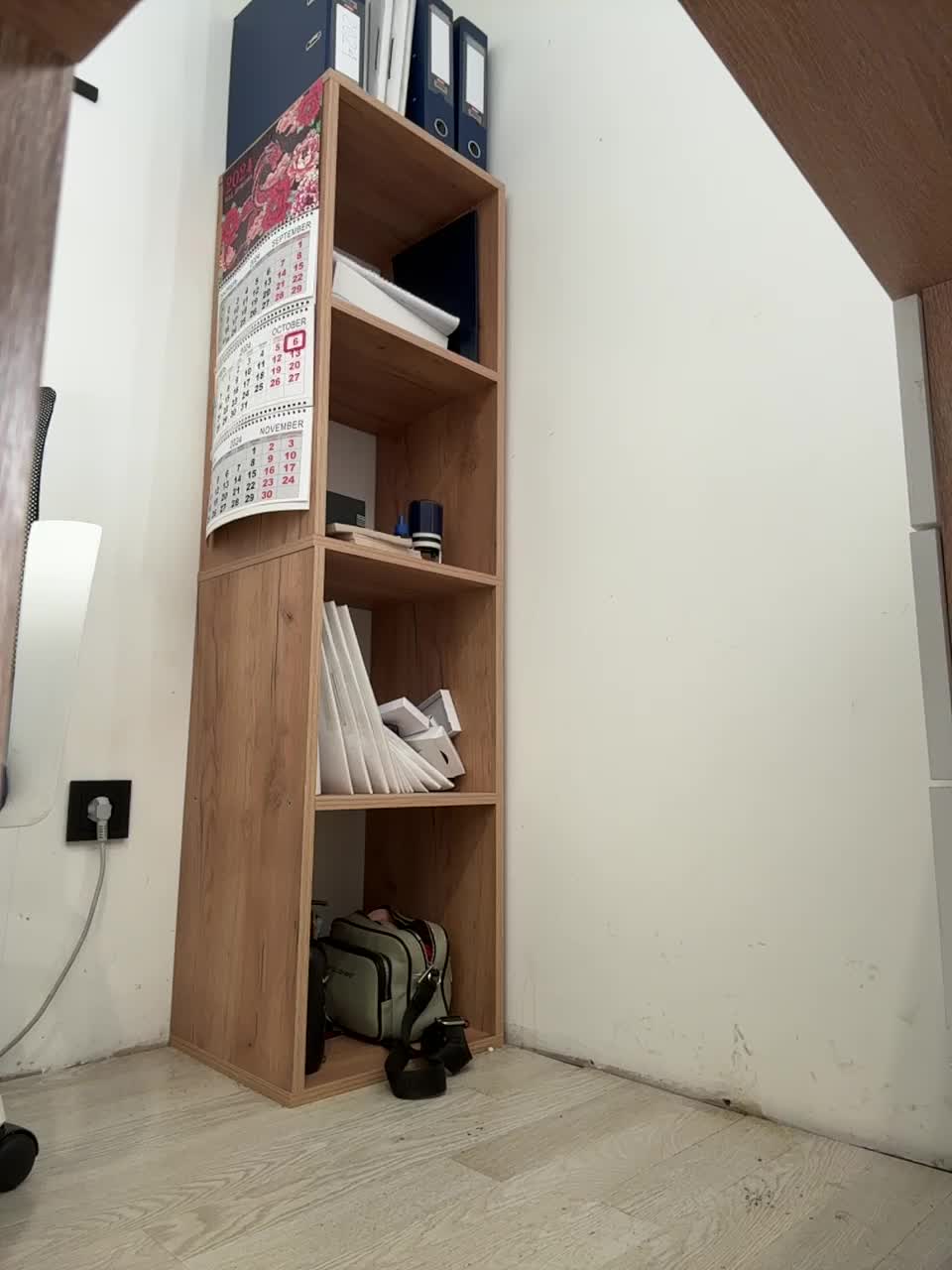 View or download file 17alisa1717 on 2024-10-06 from bongacams