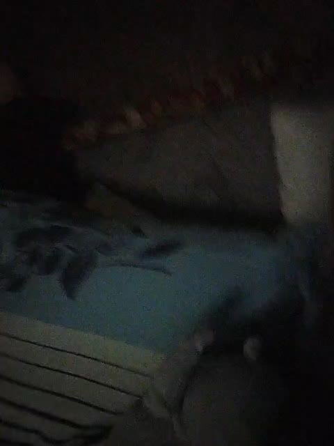 View or download file qwersad33 on 2024-10-06 from bongacams