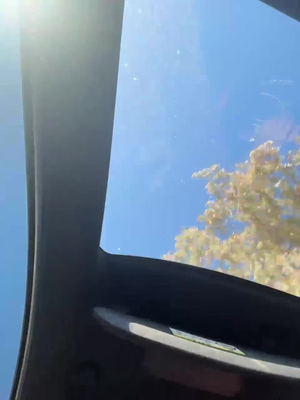 View or download file lpiski69 on 2024-10-08 from bongacams