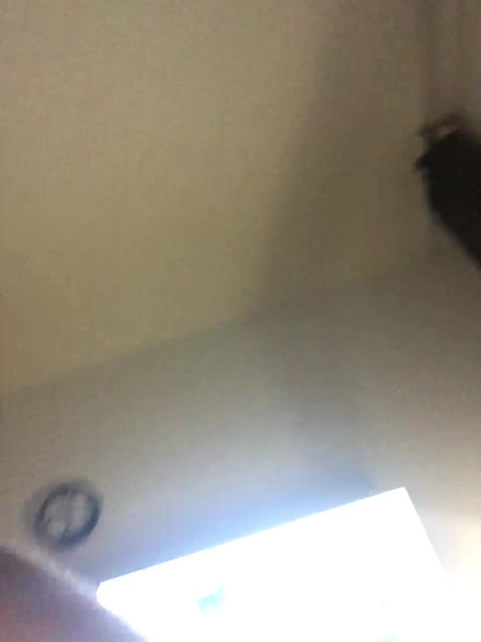 View or download file 1dory1 on 2024-10-10 from bongacams