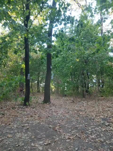 View or download file masya1996 on 2024-10-10 from bongacams