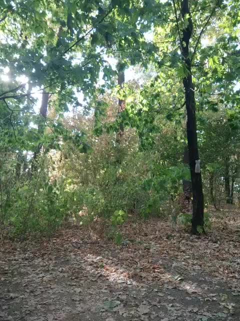 View or download file masya1996 on 2024-10-11 from bongacams