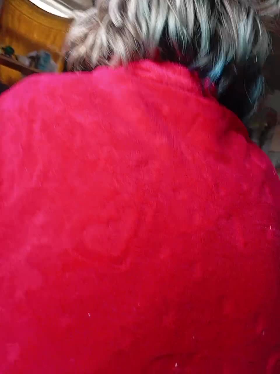 View or download file xixifff on 2024-10-12 from bongacams