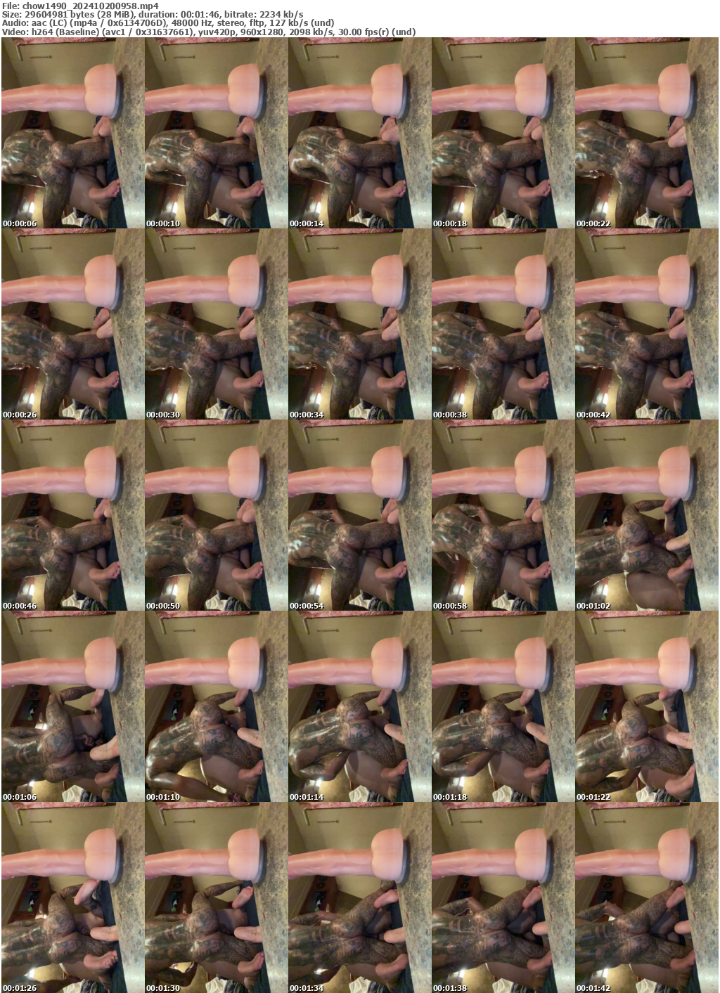 Preview thumb from chow1490 on 2024-10-20 @ bongacams