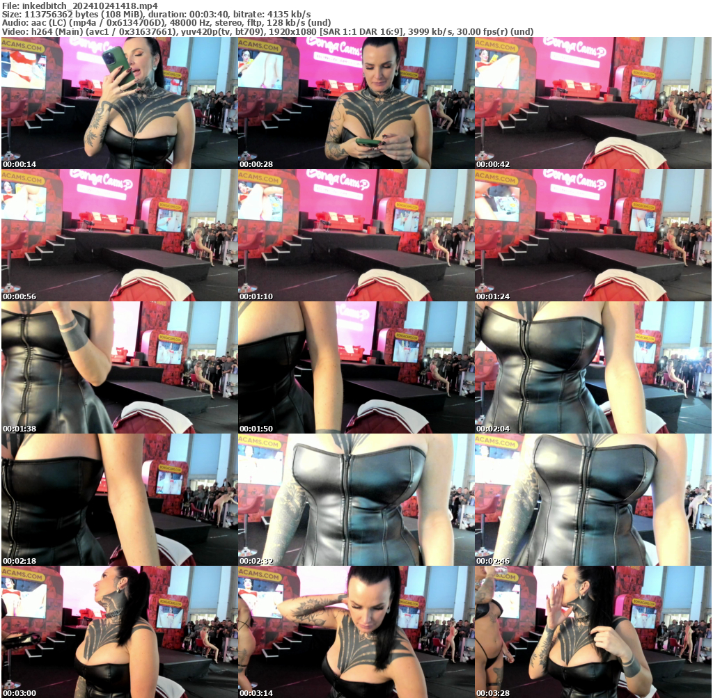 Preview thumb from inkedbitch on 2024-10-24 @ bongacams