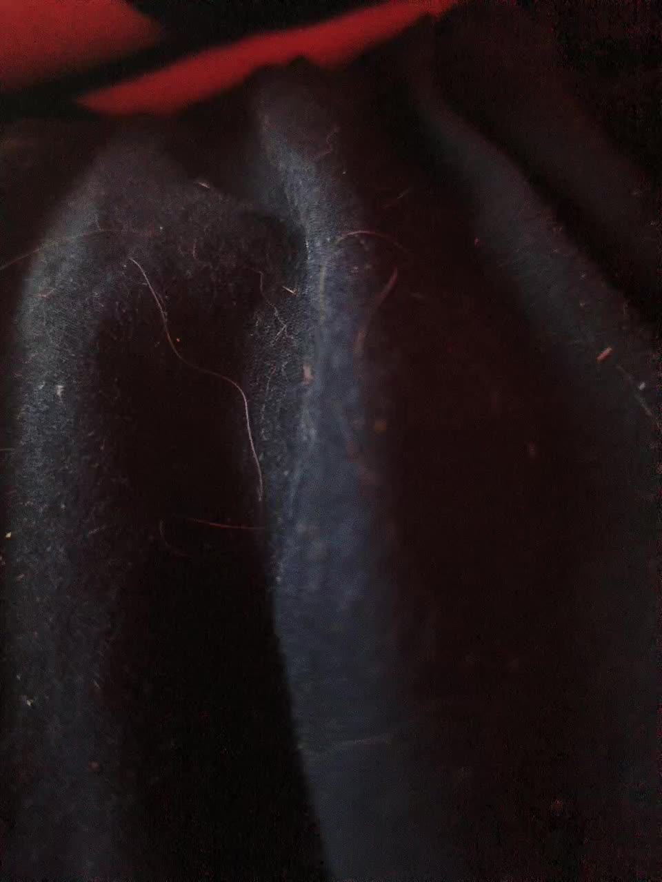 View or download file natmyasubgardex on 2024-10-26 from bongacams