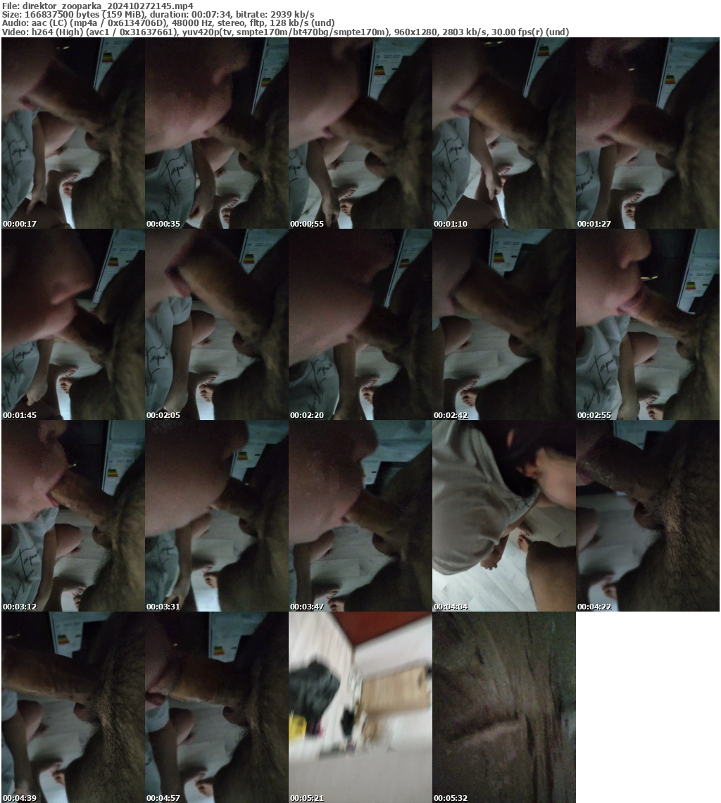 Preview thumb from direktor_zooparka on 2024-10-27 @ bongacams