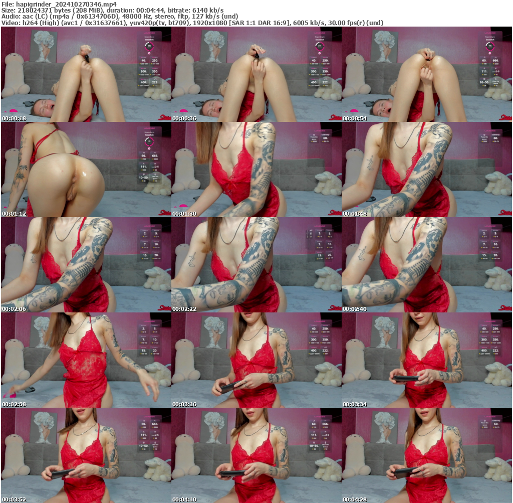 Preview thumb from hapigrinder on 2024-10-27 @ bongacams